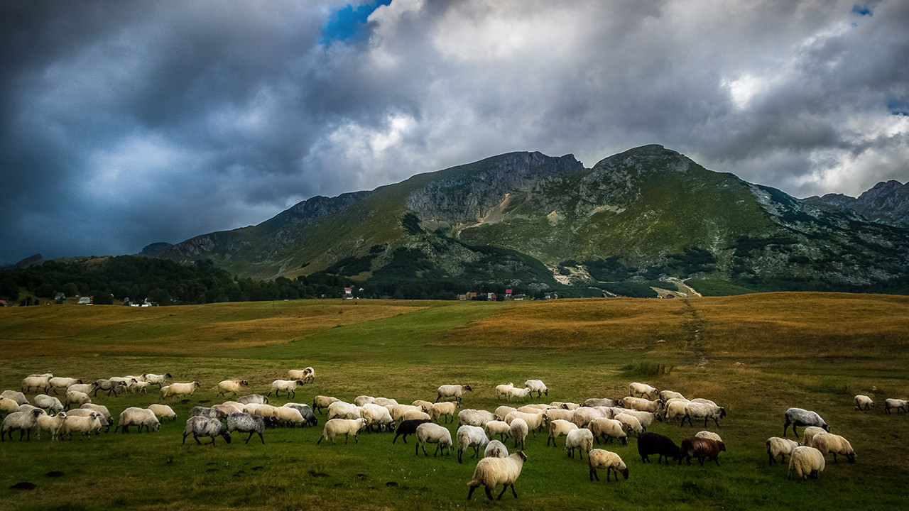 NP Durmitor Scene